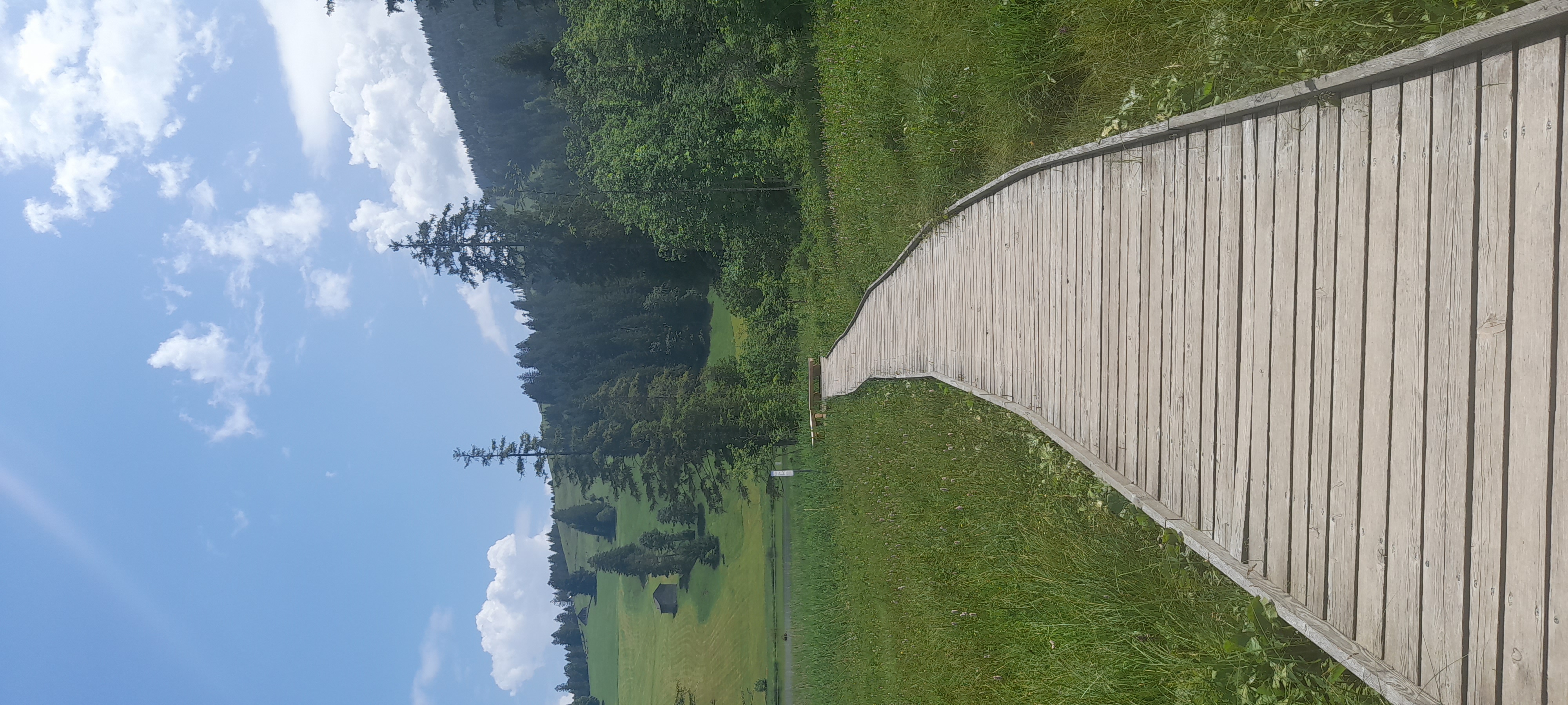 Bild oben links